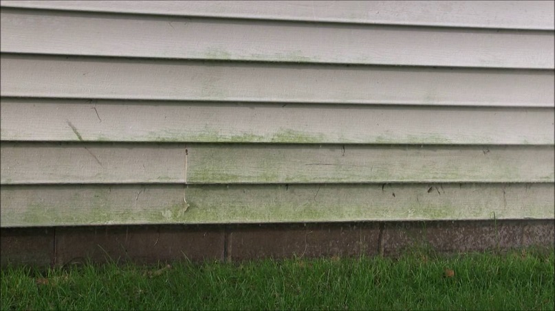 Clean Vinyl Siding And Get Rid Of Mold